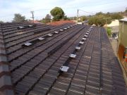 Adelaide-20121123-00269